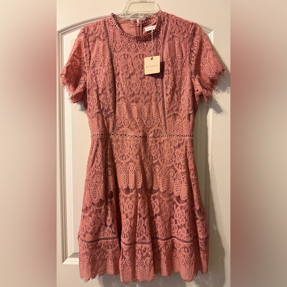 Blush Pink Boutique Lace Dress